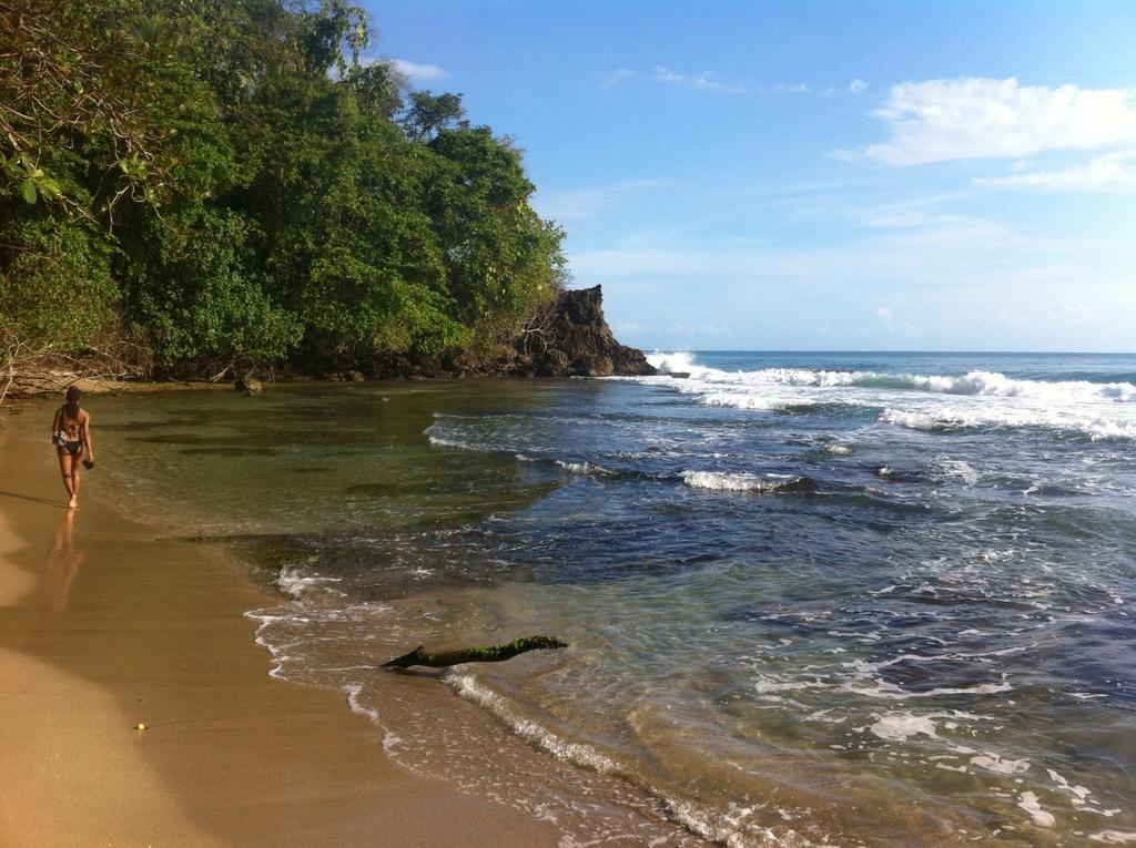 Morpheus Exotica Lodge Puerto Viejo de Talamanca Eksteriør billede