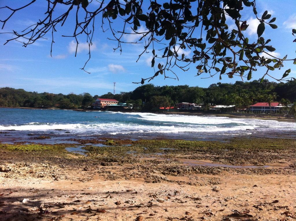 Morpheus Exotica Lodge Puerto Viejo de Talamanca Eksteriør billede