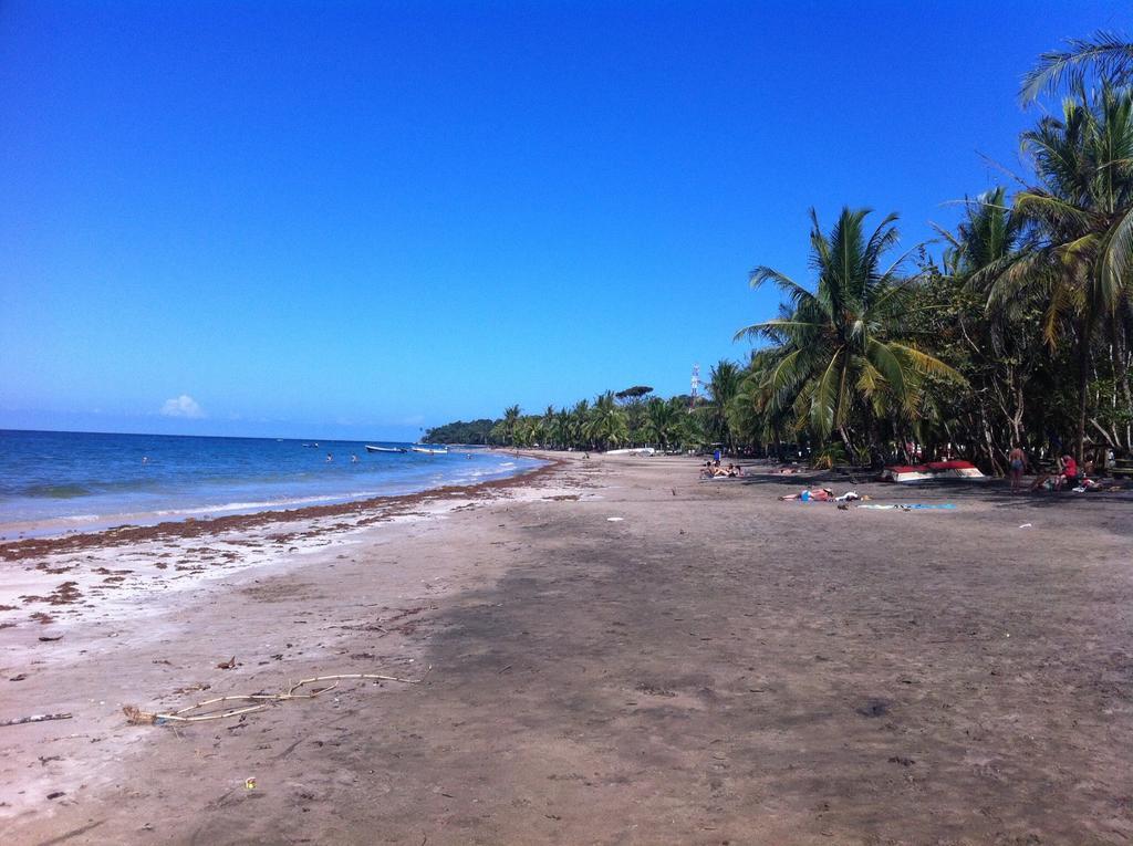 Morpheus Exotica Lodge Puerto Viejo de Talamanca Eksteriør billede