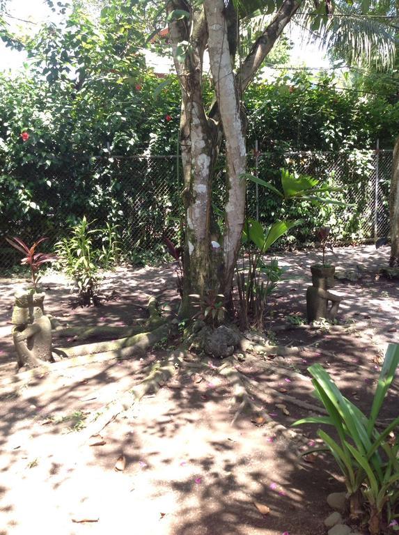 Morpheus Exotica Lodge Puerto Viejo de Talamanca Eksteriør billede