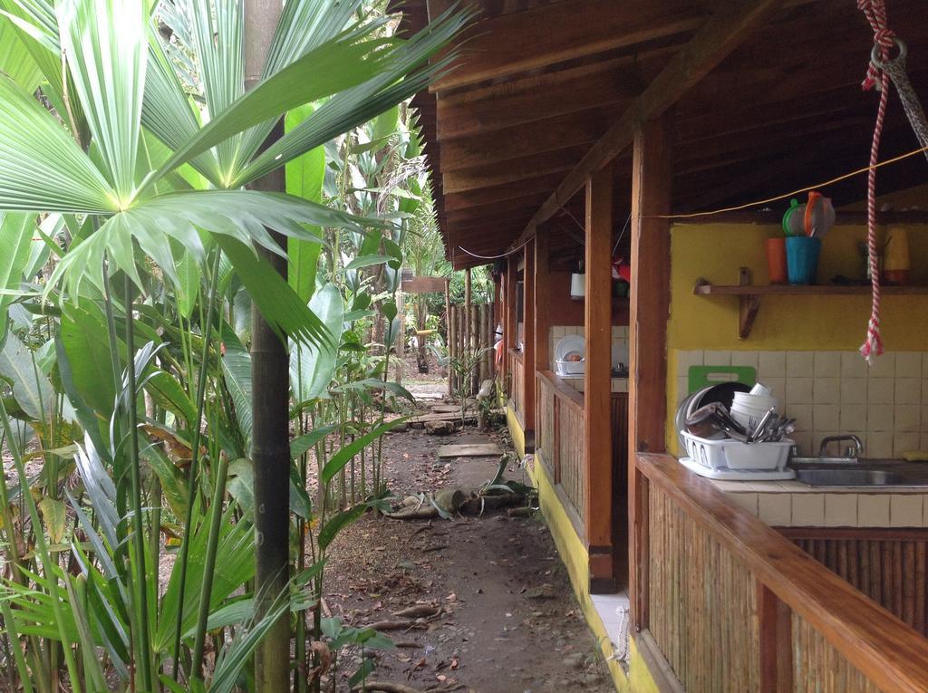 Morpheus Exotica Lodge Puerto Viejo de Talamanca Værelse billede