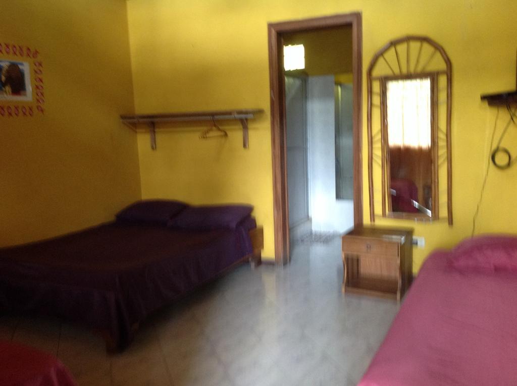 Morpheus Exotica Lodge Puerto Viejo de Talamanca Værelse billede