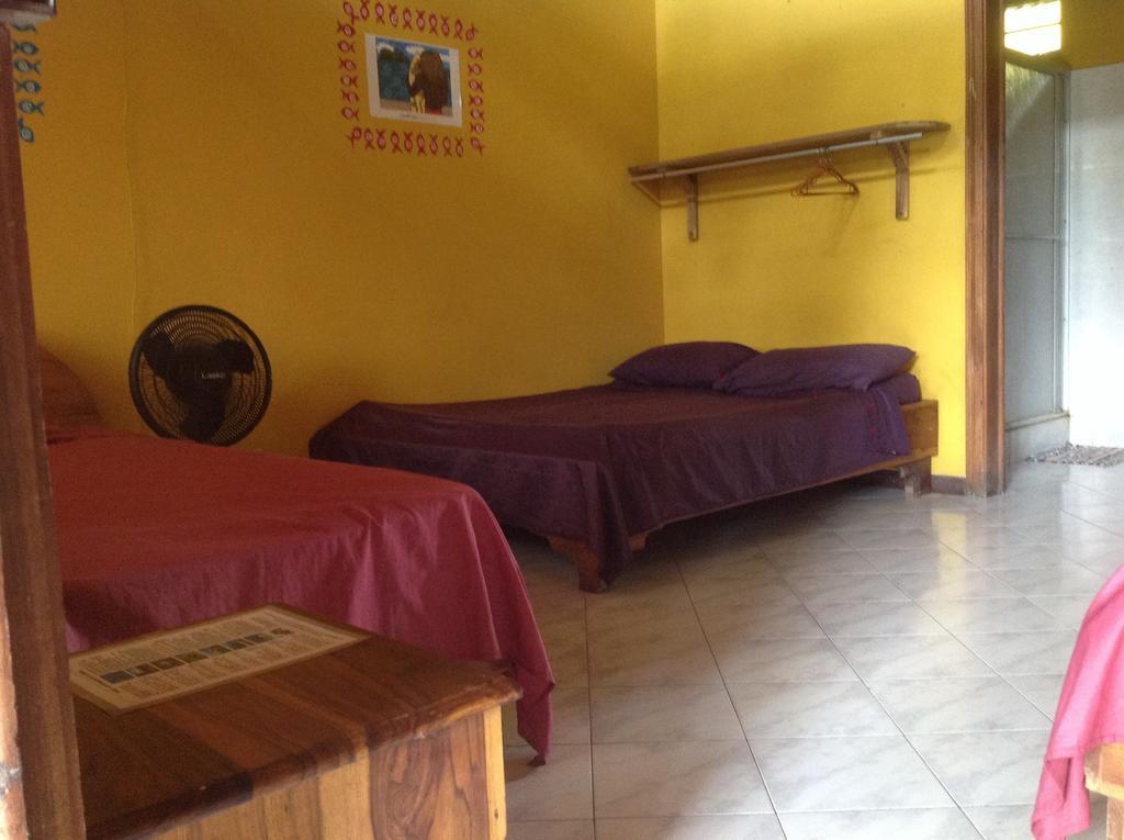 Morpheus Exotica Lodge Puerto Viejo de Talamanca Værelse billede