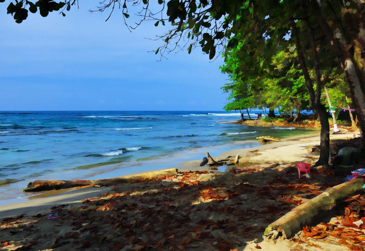 Morpheus Exotica Lodge Puerto Viejo de Talamanca Eksteriør billede