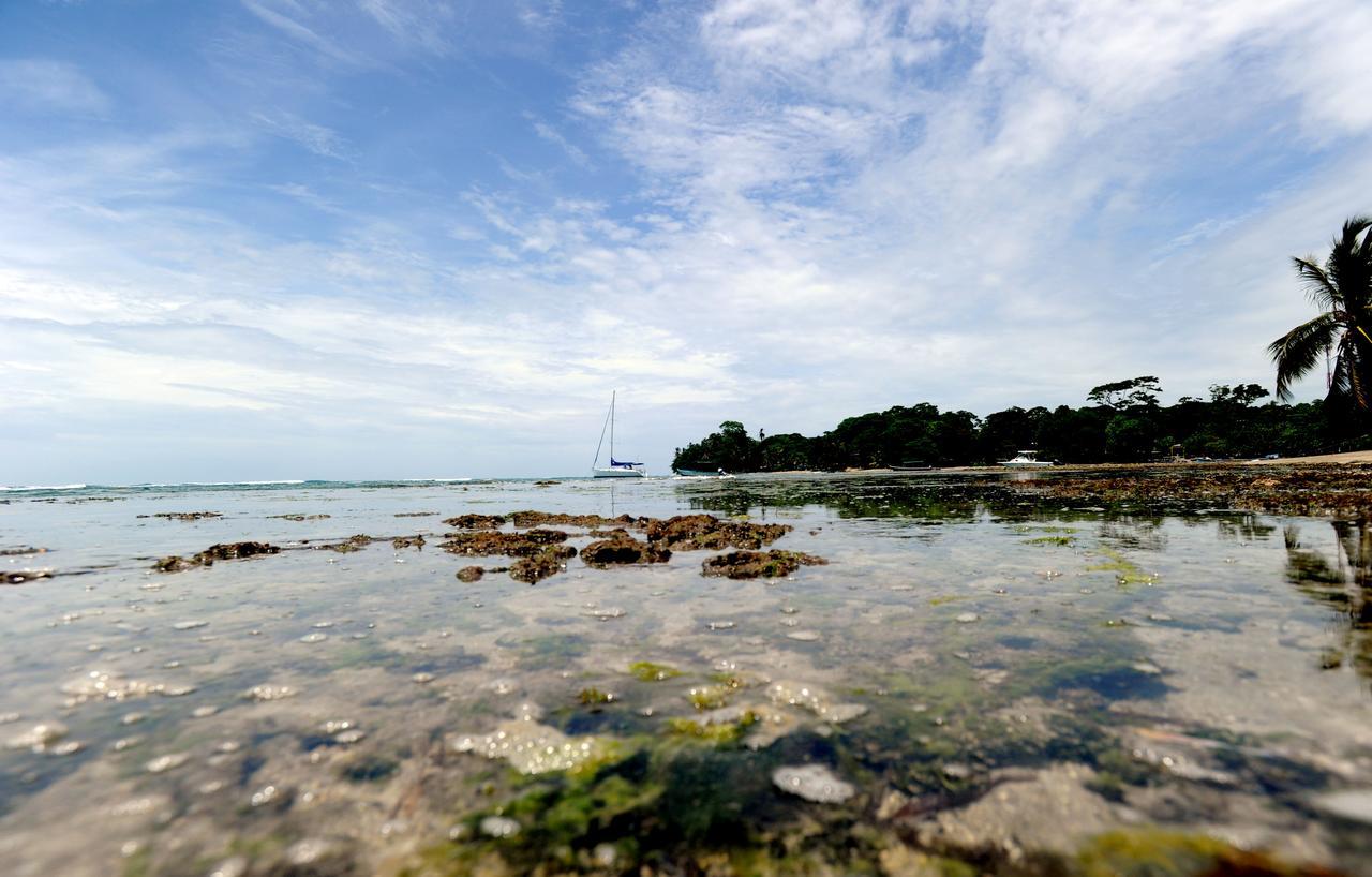 Morpheus Exotica Lodge Puerto Viejo de Talamanca Eksteriør billede