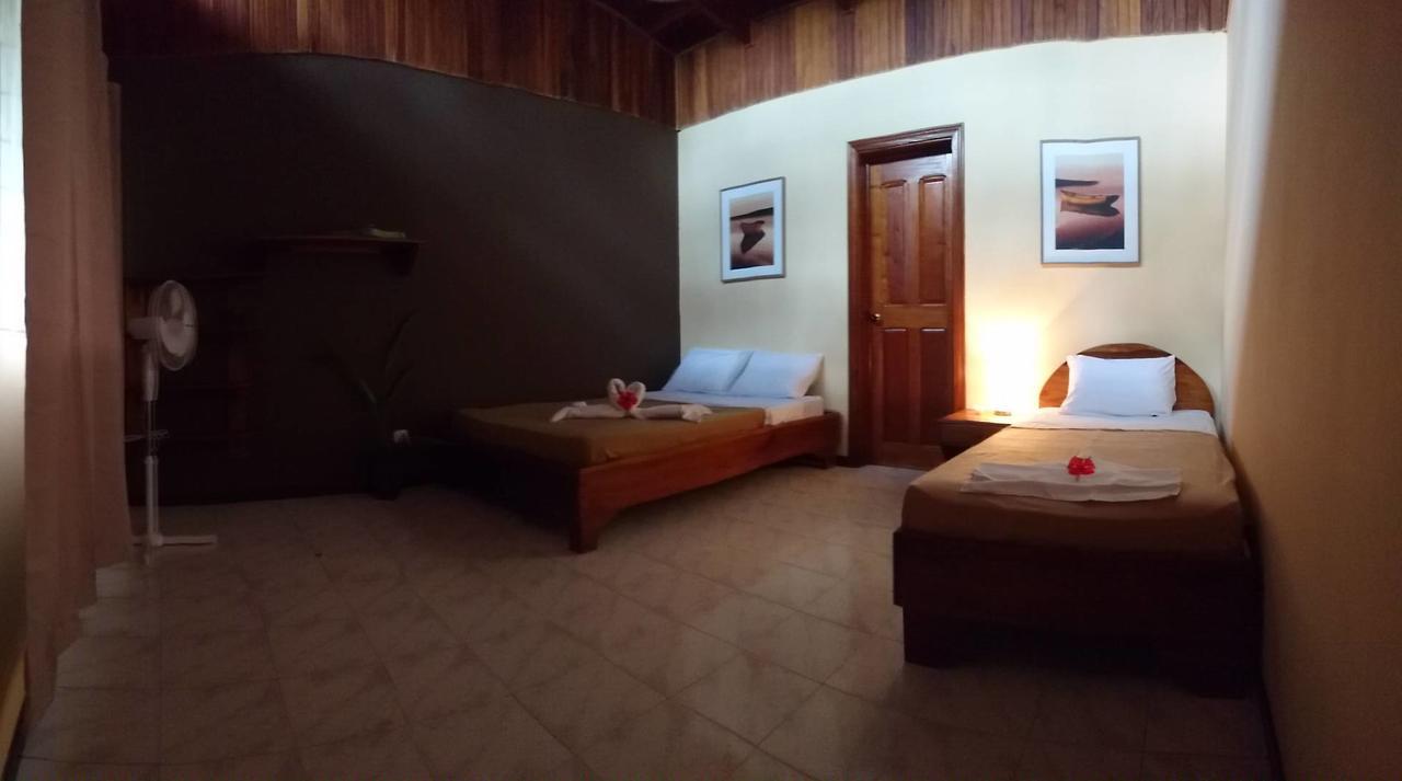Morpheus Exotica Lodge Puerto Viejo de Talamanca Eksteriør billede