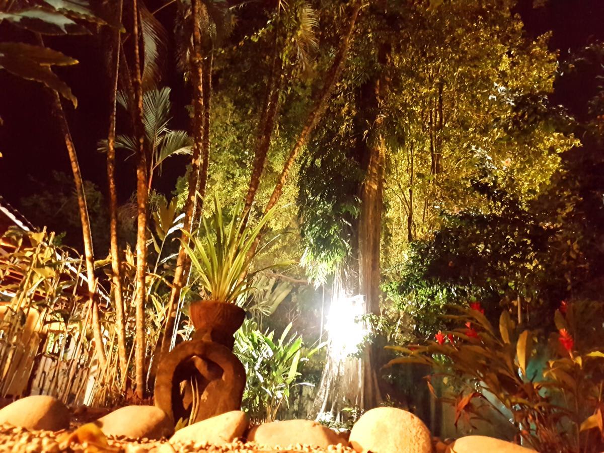 Morpheus Exotica Lodge Puerto Viejo de Talamanca Eksteriør billede