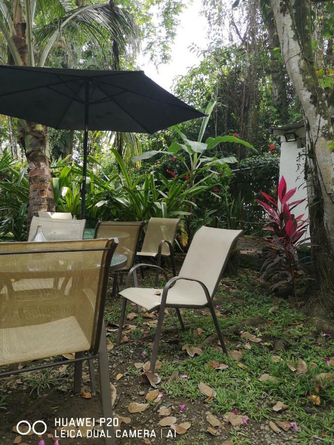 Morpheus Exotica Lodge Puerto Viejo de Talamanca Eksteriør billede